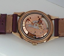 #CYMA1600