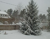 # WINTER