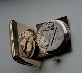 #ZO100